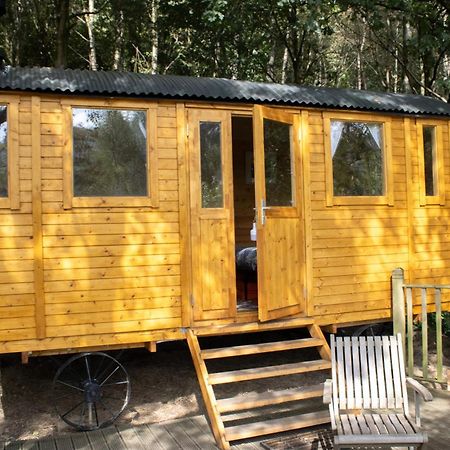 Pike'S Cabin In The Woods هيبدين بريدج المظهر الخارجي الصورة