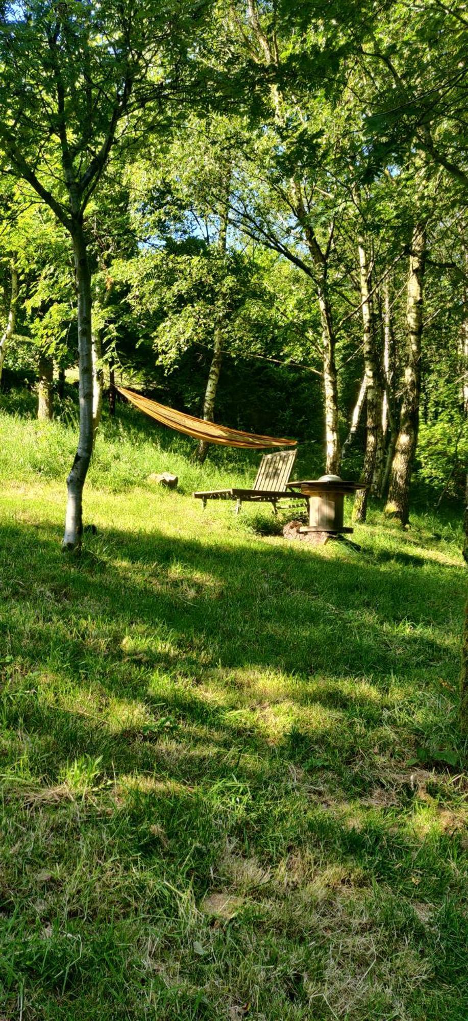 Pike'S Cabin In The Woods هيبدين بريدج المظهر الخارجي الصورة